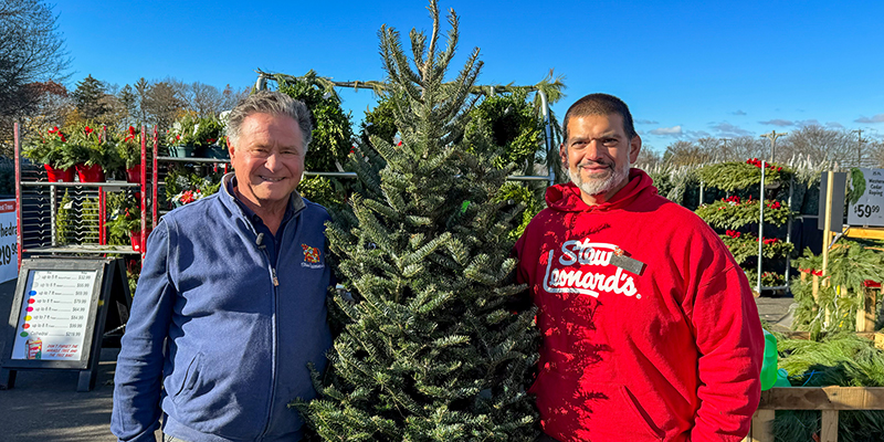 xmas_trees